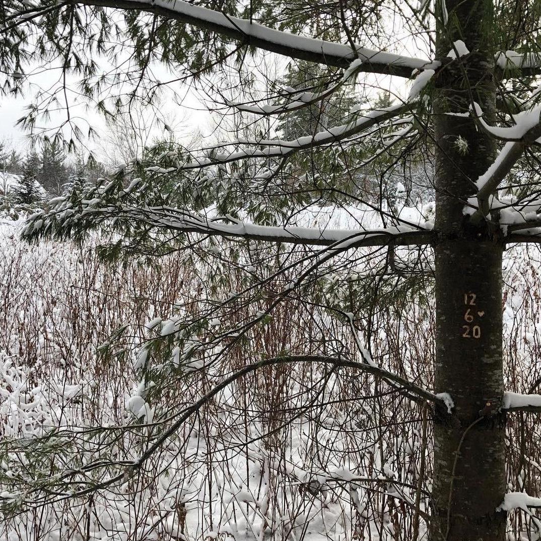 The proposal location