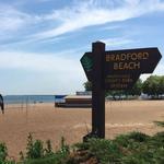 Bradford Beach