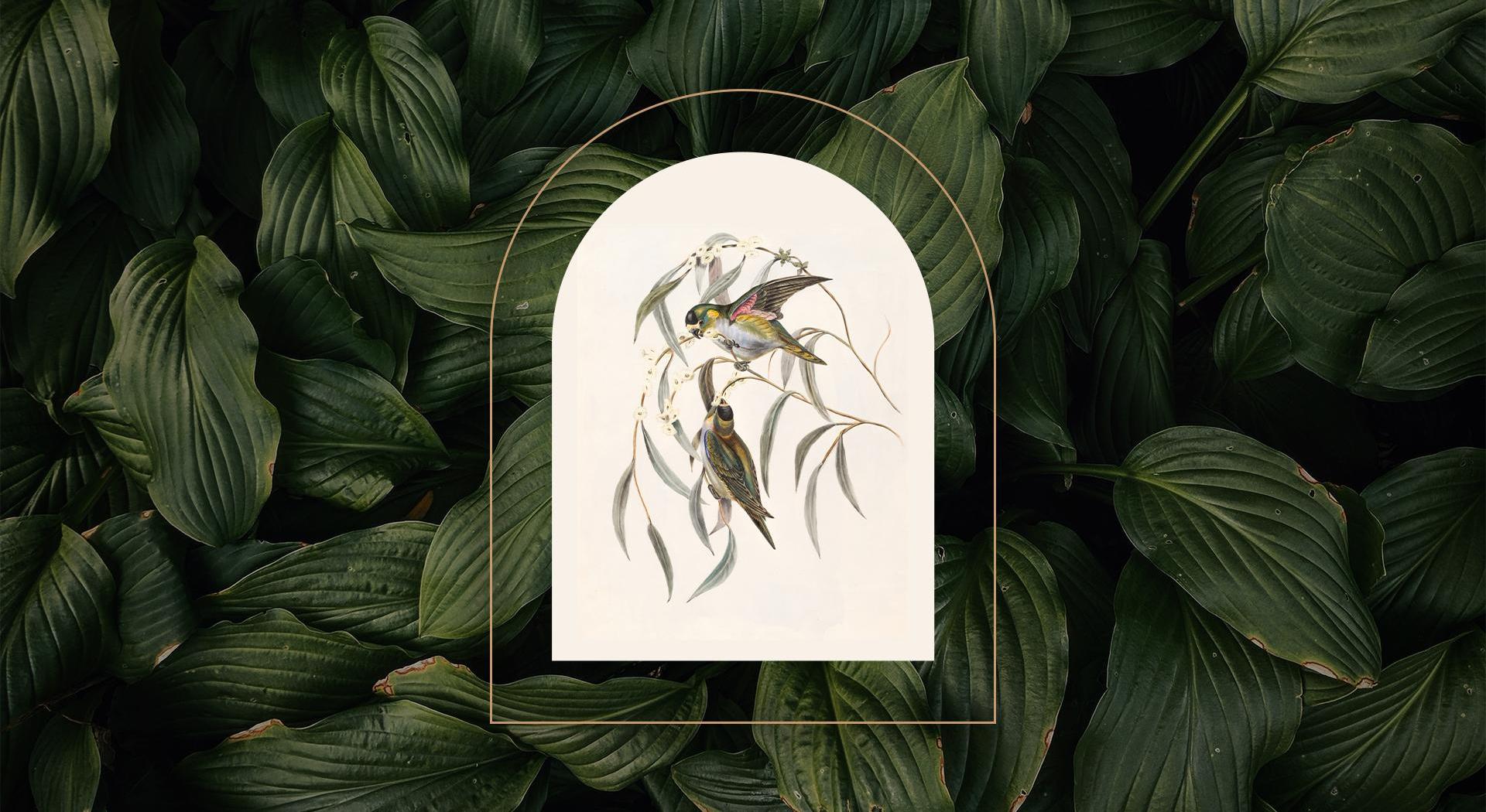 Footer image