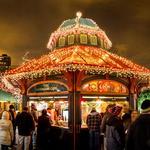 Lincoln Park Zoo Lights