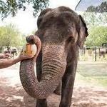 Fort Worth Zoo