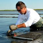 Island Creek Oysters - Restaurant and Hatchery