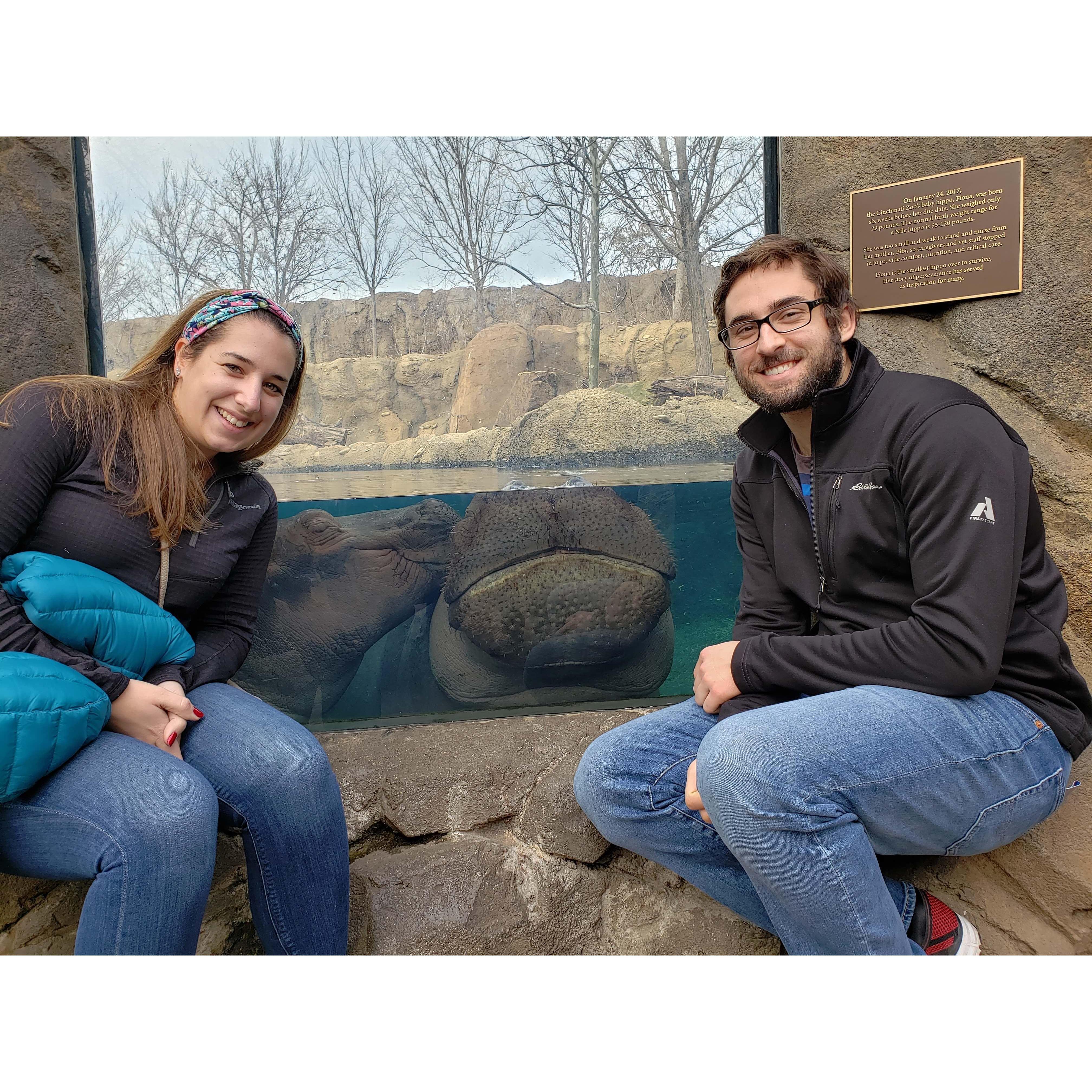 2019 Cincinatti Zoo seeing famed Fiona the Hippo