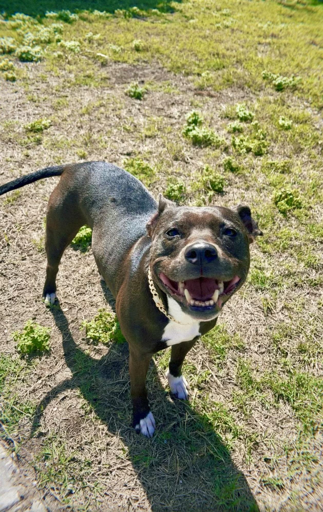 The Wedding Website of Sydney Lee and Drew Boylson