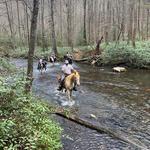 Rusty Spur Horseback Riding