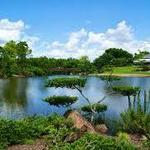 Morikami Museum and Japanese Gardens