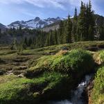 Mount Shasta Alpine