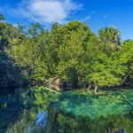 Indigenous Eyes Ecological Reserve
