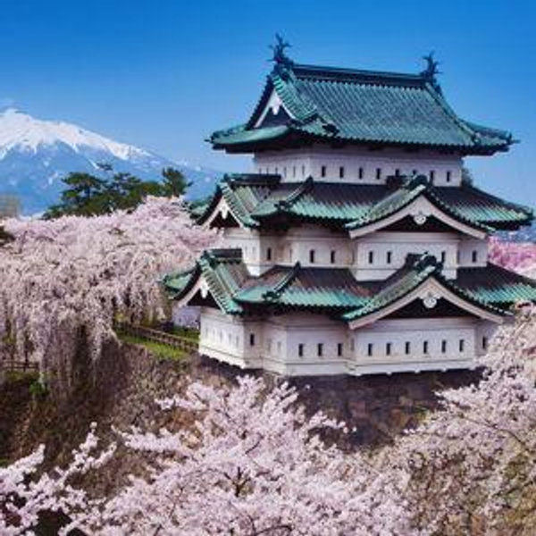 Our Honeymoon Fund - We'll be going to Japan in April 2026!