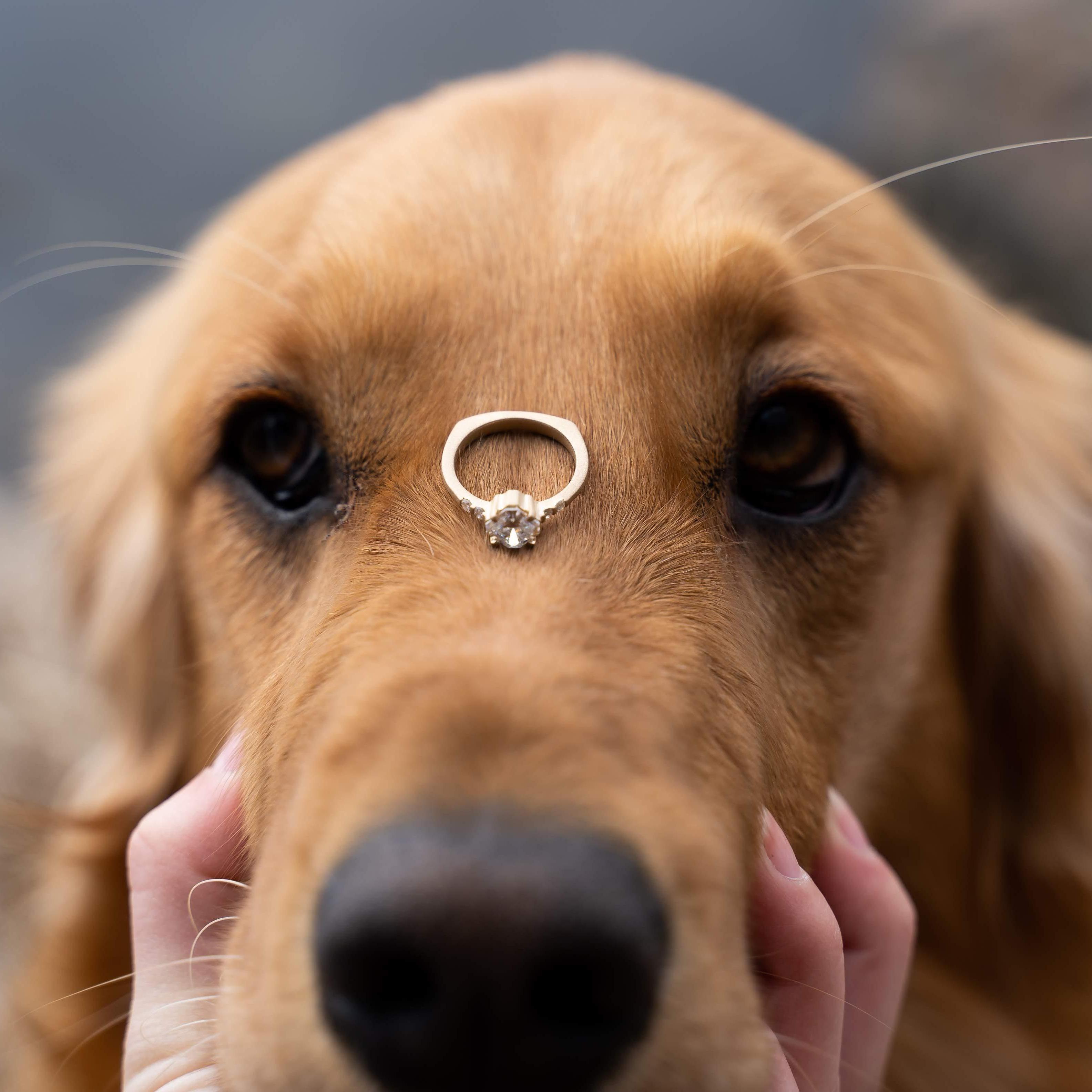 Abigail's engagement ring is made from her grandma Brandt's old wedding ring.