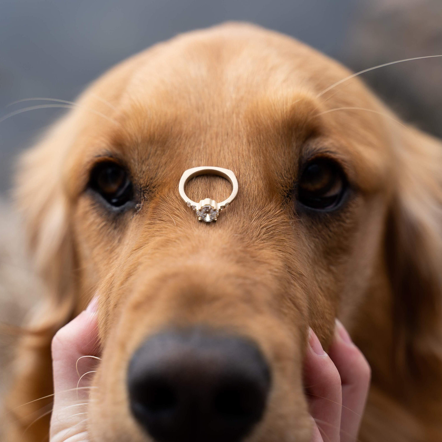 Abigail's engagement ring is made from her grandma Brandt's old wedding ring.