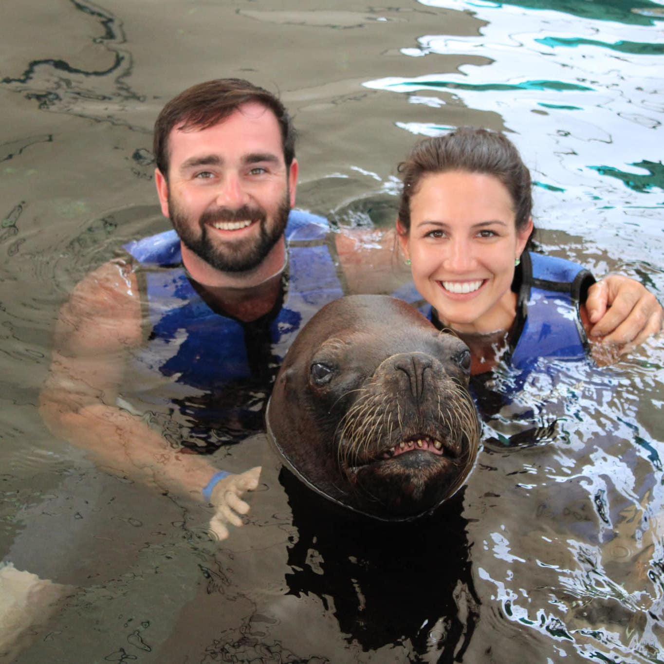 Swimming with Remo the sea lion