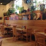 Tommy's