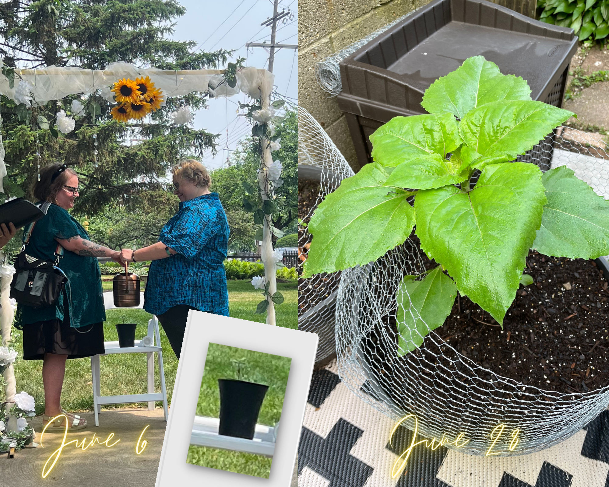 The Wedding Website of Kristen Lepionka and Joanna Schroeder