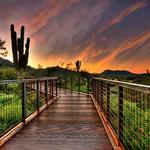 McDowell Sonoran Preserve