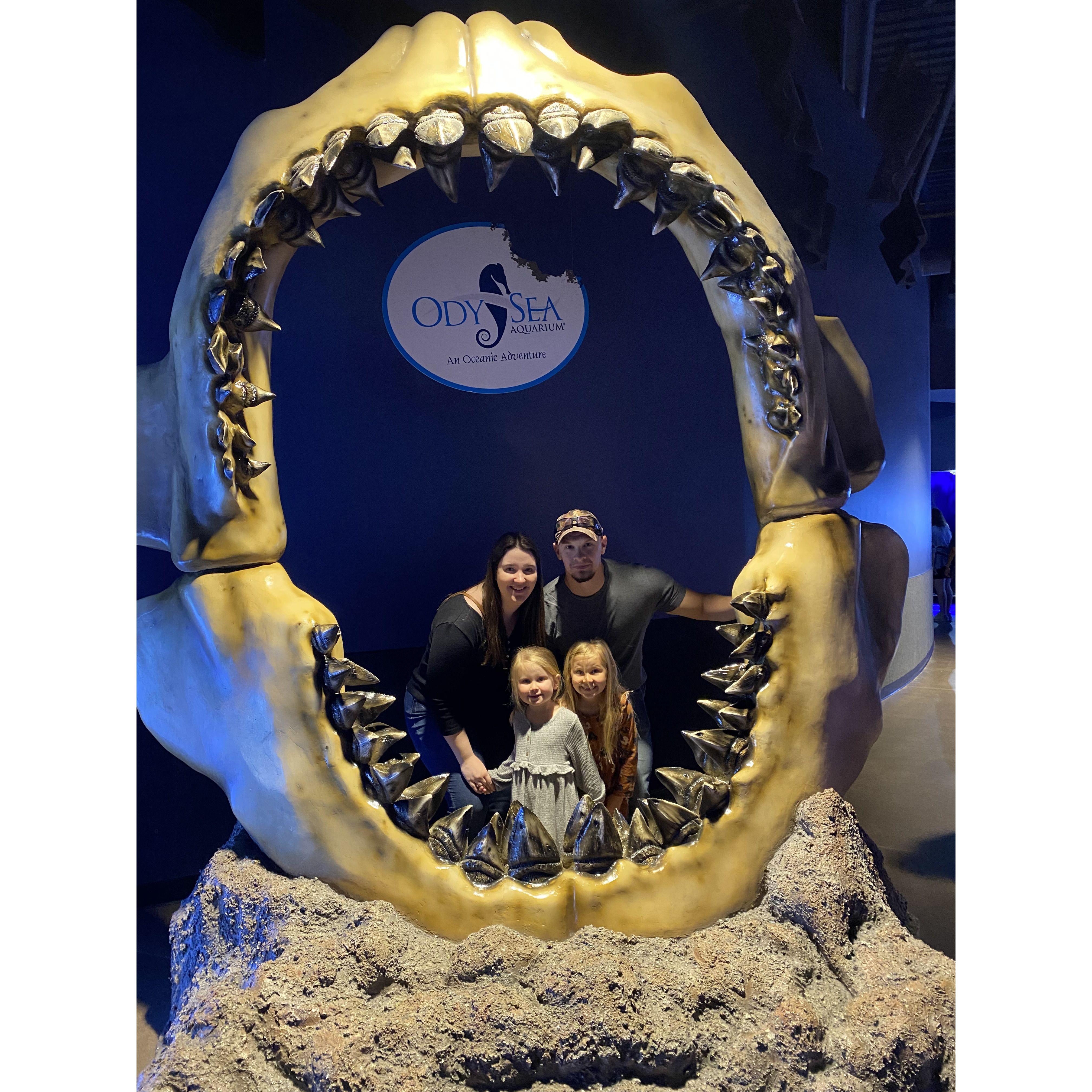 Visiting the aquarium with Addy and Lilly. - March 2023