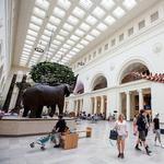 Field Museum