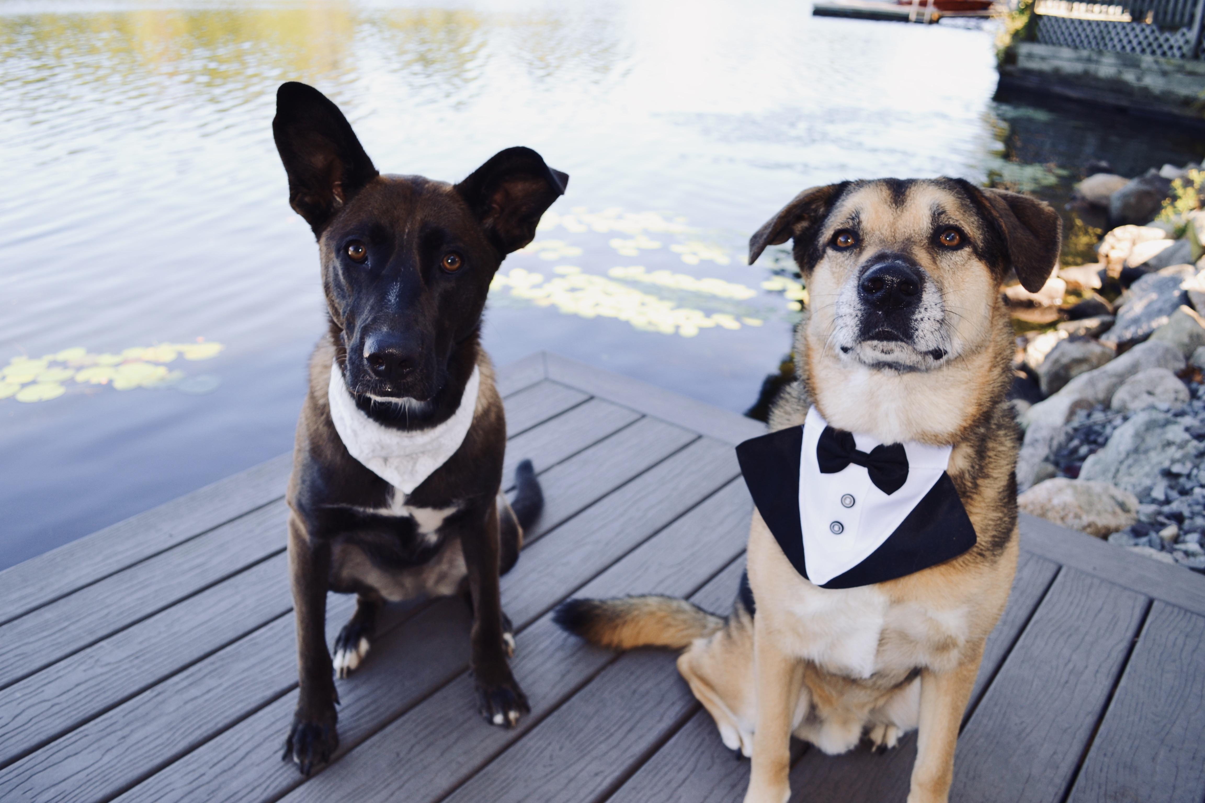 The Wedding Website of Jessica Kaufman and Tyler Campo