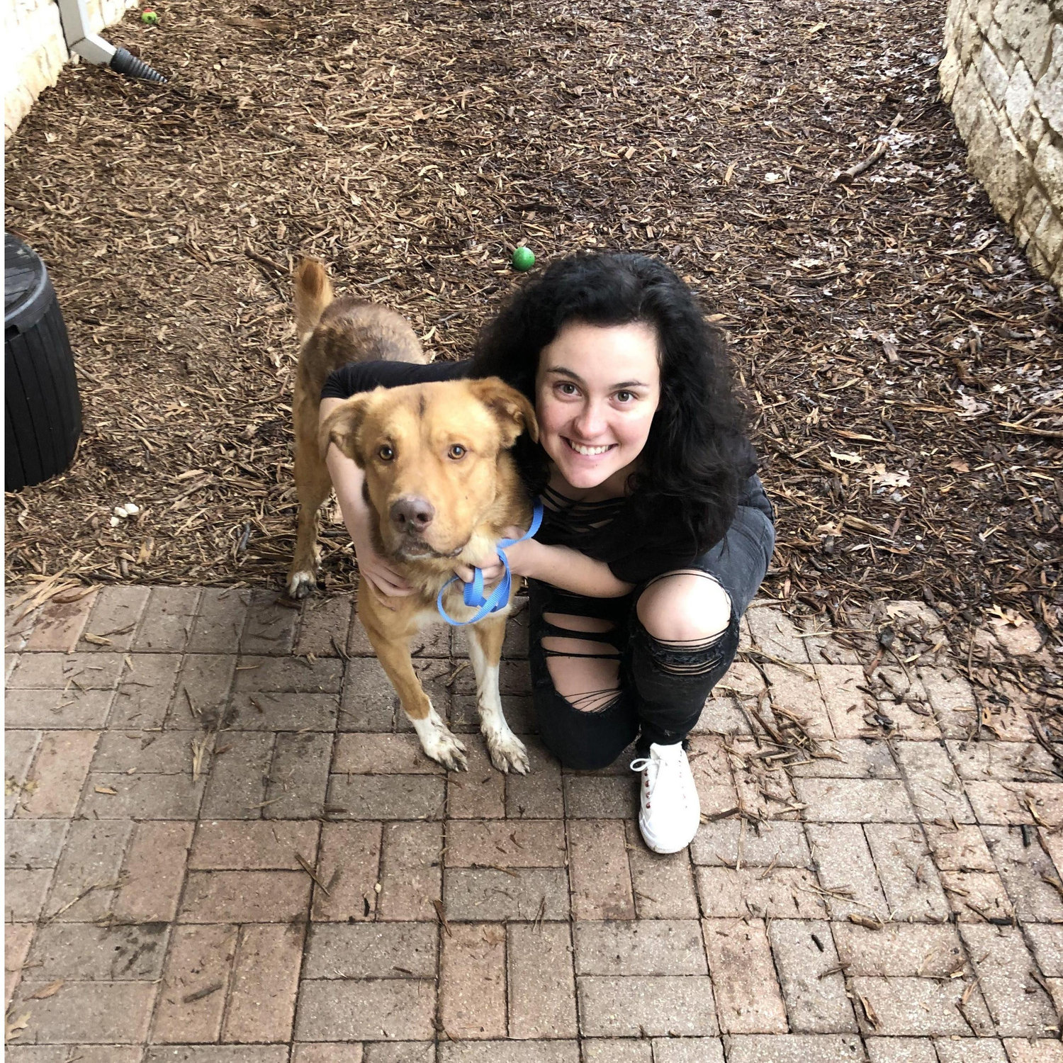 We become fur parents!! February 12, 2020