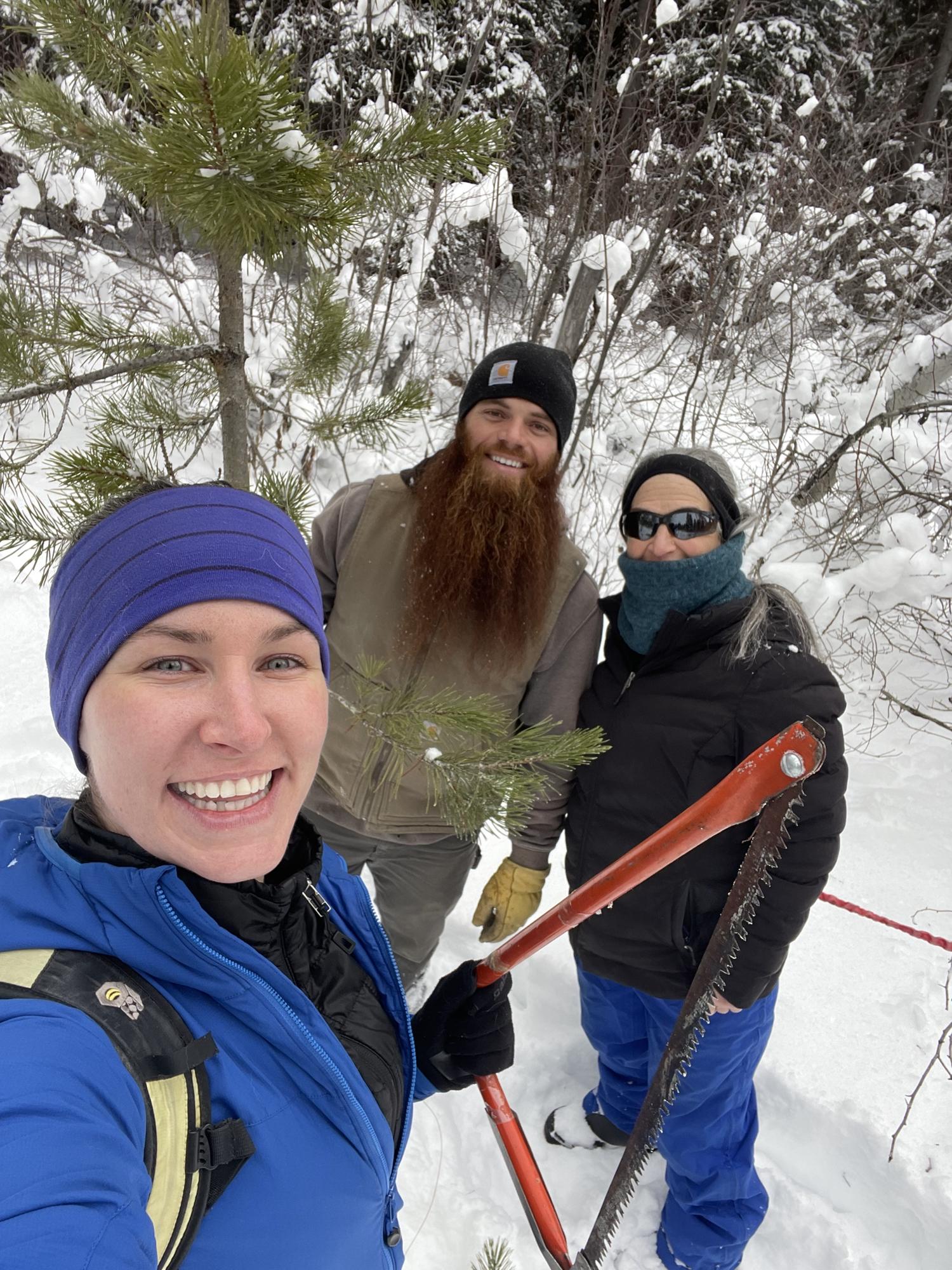 Cutting down our Christmas tree