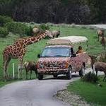 Fossil Rim Drive Thru Safari
