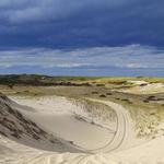Art's Dune Tours