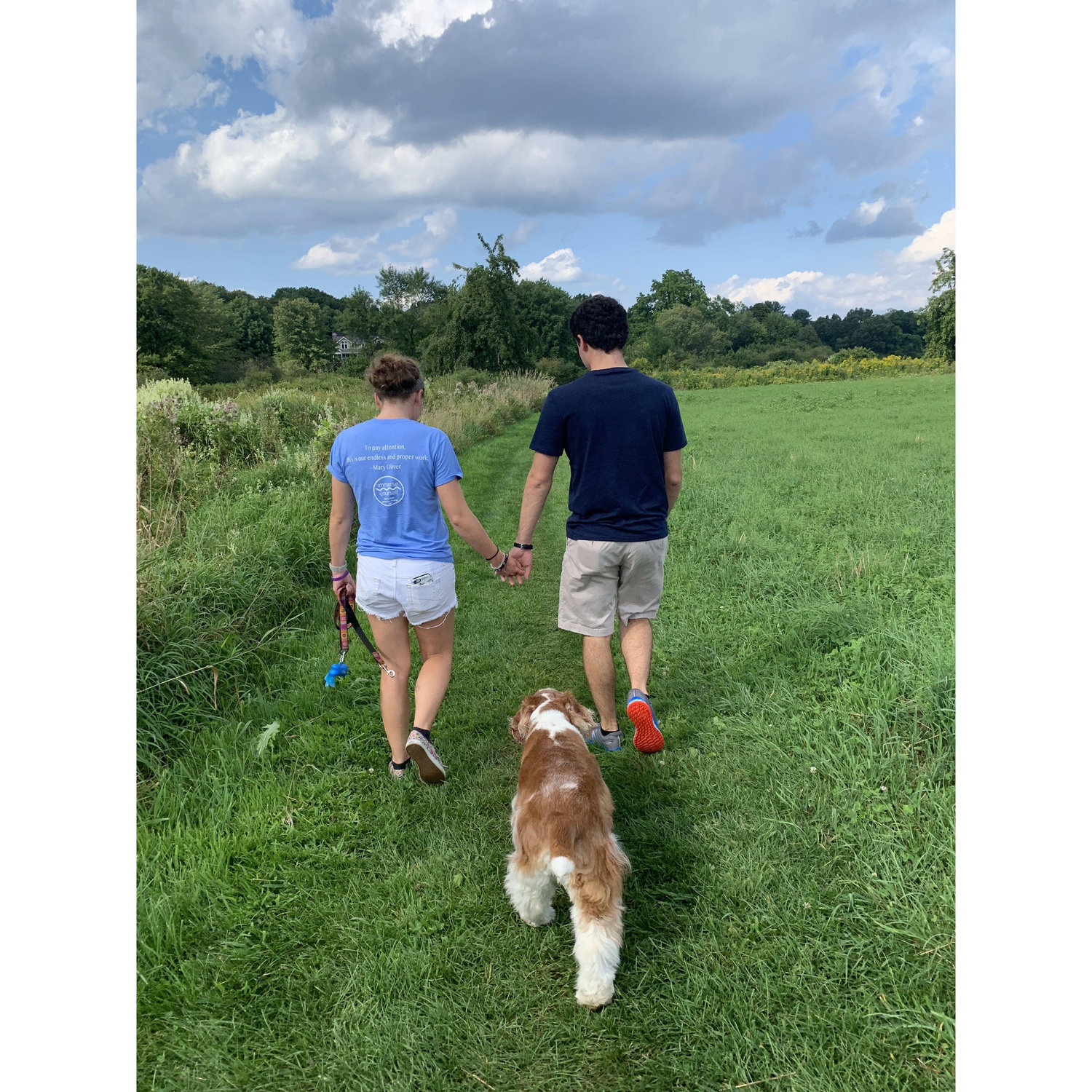 Tanglewood 2019