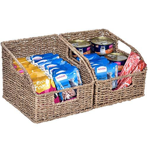 StorageWorks Hand Woven Magazine Wicker Basket with Insert Handles, Seagrass Trapezoid Storage Baskets, 8.7 x 9.8 x 7.5 inches, 2-Pack