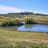 Mercier Orchards