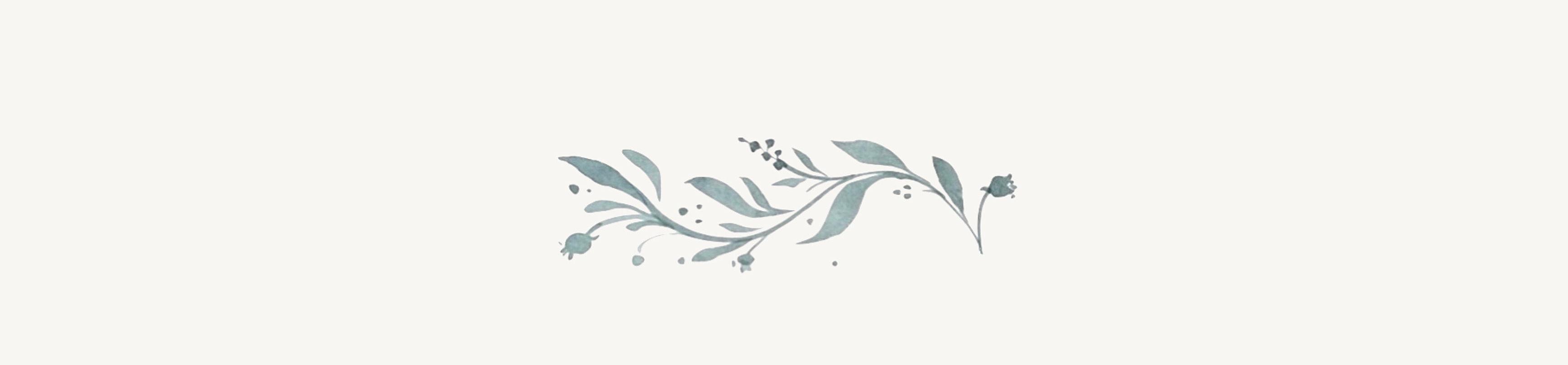 The Wedding Website of Patricia Whalon and Matthew Murphy