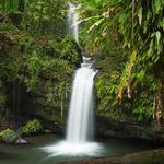 El Yunque