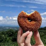 Carter Mountain Orchard and Country Store