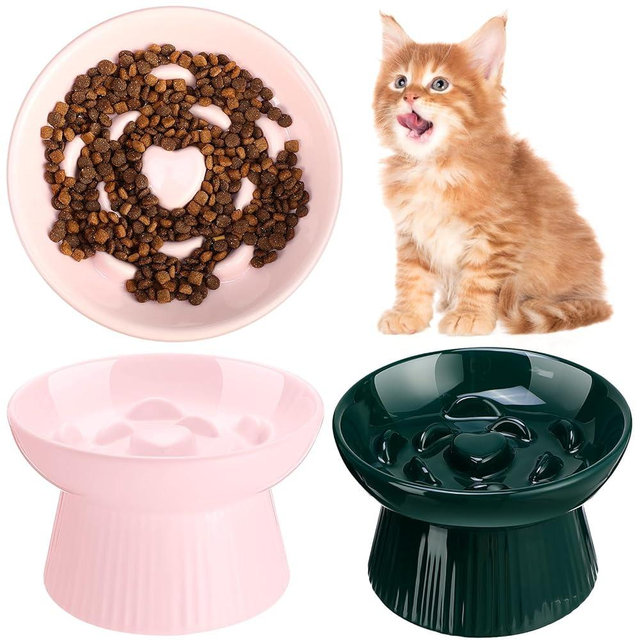 Tioncy 2 Pcs Raised Cat Slow Feeder Bowl Ceramic Elevated Cat Dog Food Bowl No Spill High Edge for Dry Wet Food and Water Easy to Clean, Dishwasher Safe (Pink,Dark Green)