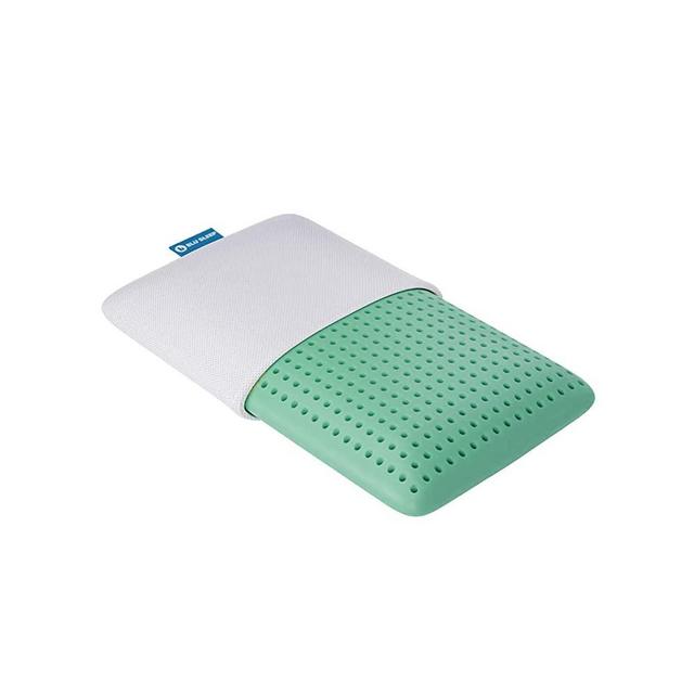 Blu Sleep Products Aloe Ice Pillow - Infused with Aloe Vera Oil