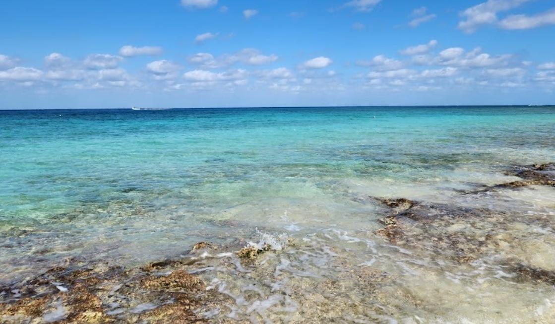 The Wedding Website of Jessica Davis and Rosendo Ortiz