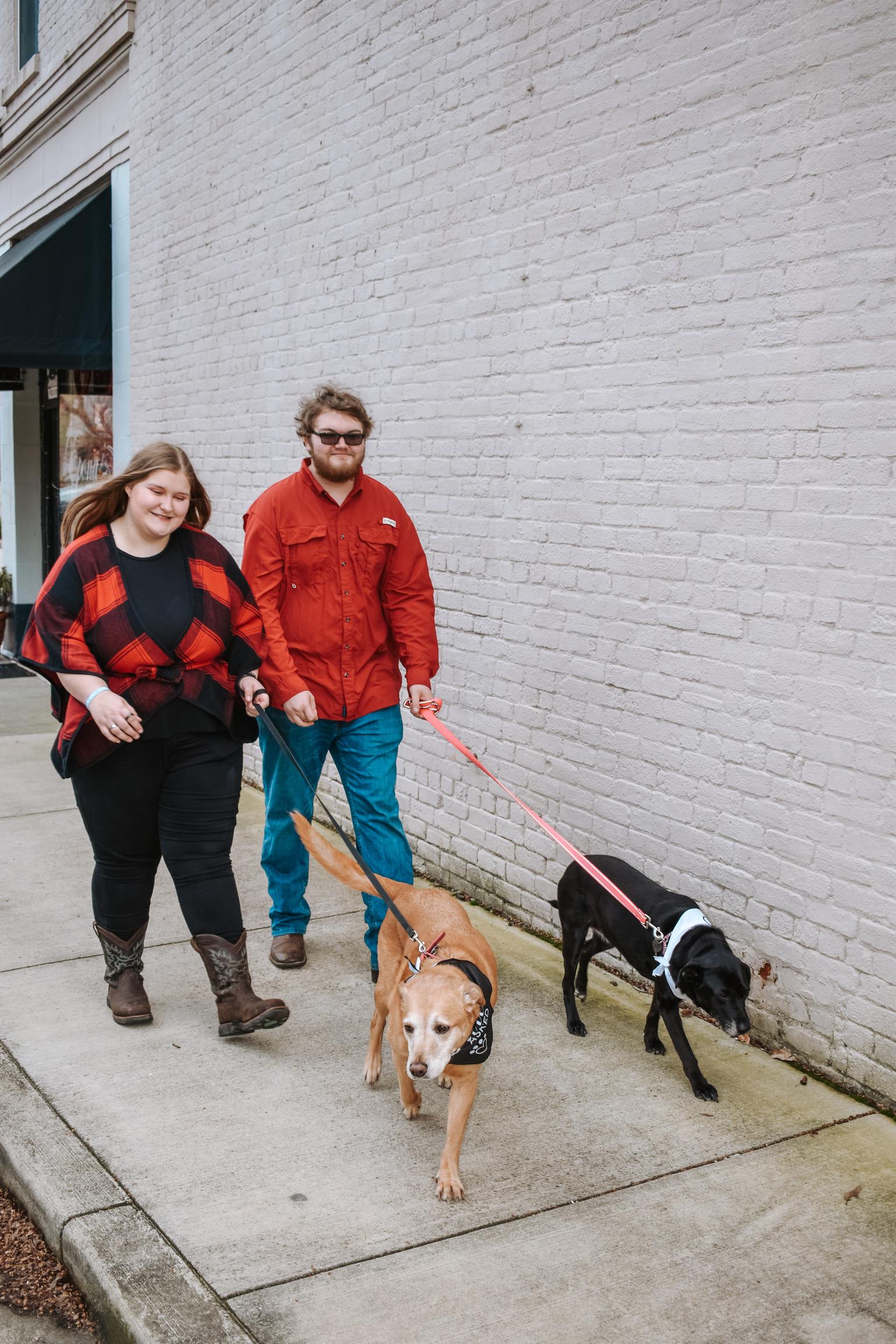 d157dea7-1341-4b74-a872-4dd7bdf335ee