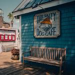 The Salty Dog Cafe
