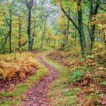 Various Hikes in the DC Area