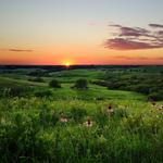 Konza Prairie - Nature Trail