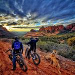 leisure bike or segway tour