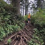 Cape Lookout Trailhead