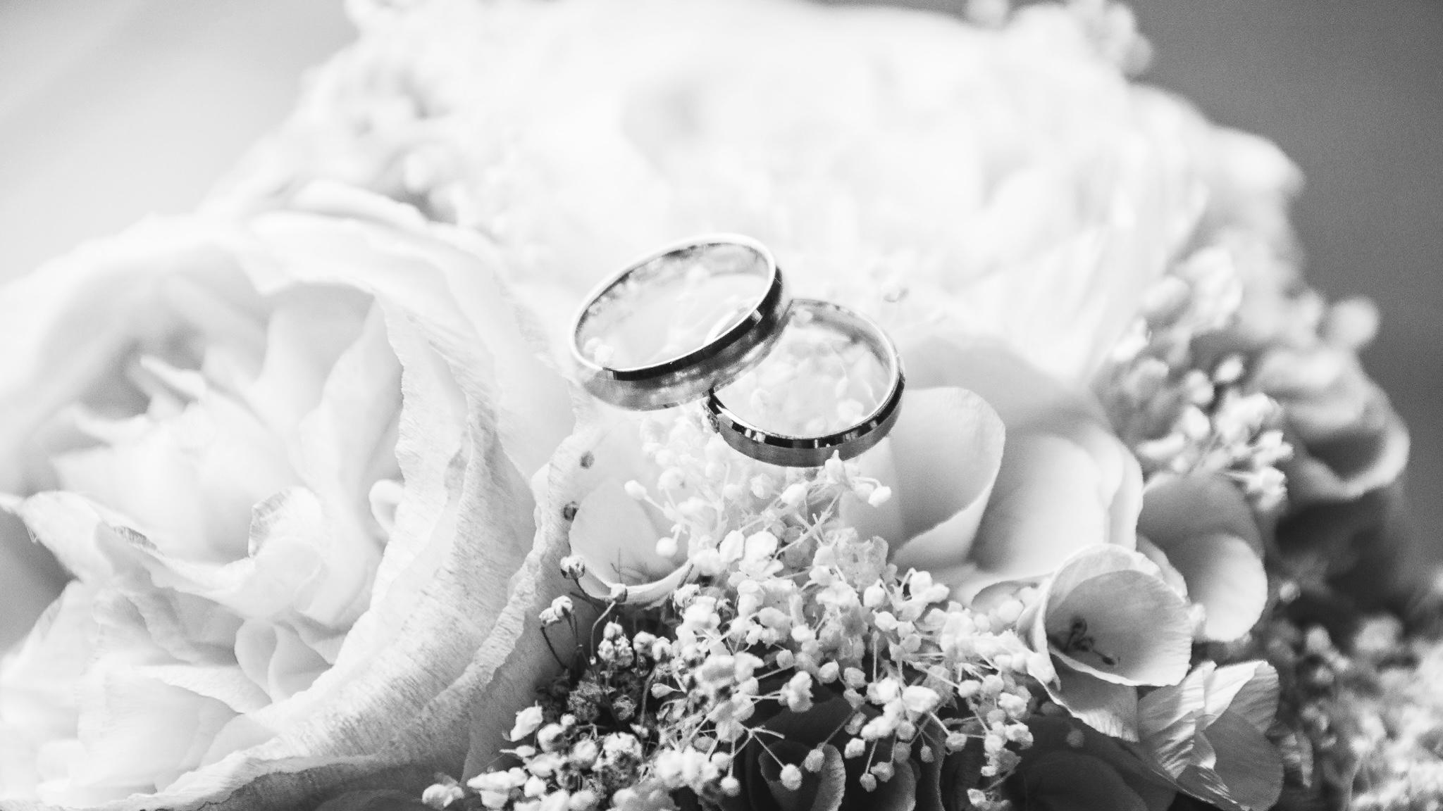 The Wedding Website of Sarah Farrell and Patrick Horton