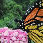 Klehm Arboretum & Botanic Garden