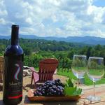 Wine Tasting & Tours