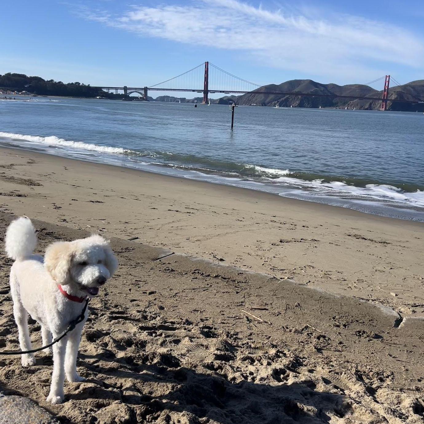 Moved to San Francisco (2022)