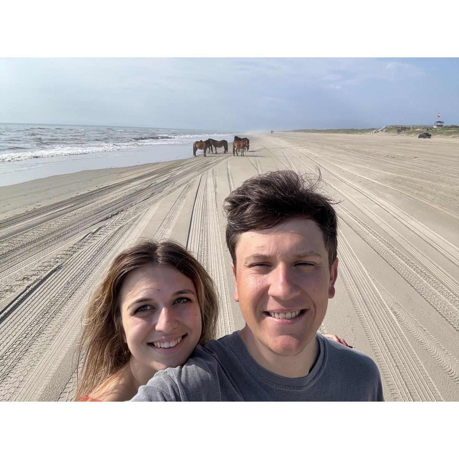 Wild horse sighting the morning we got engaged!
