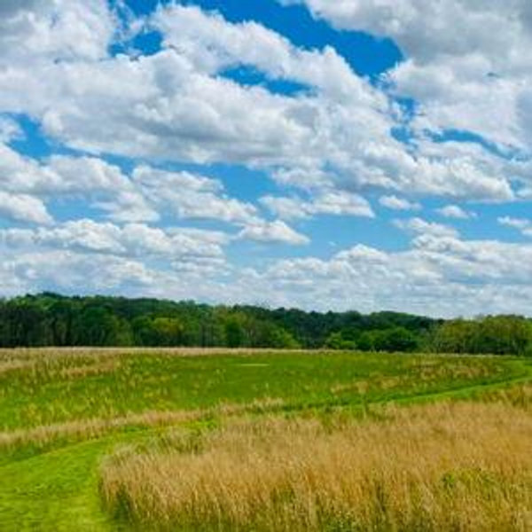 Support land conservation