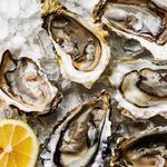 Chicago Oyster House