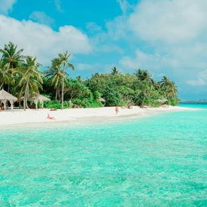 Honeymoon Fund