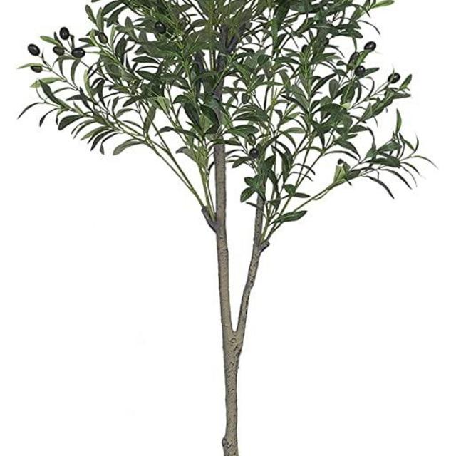 VIAGDO Artificial Olive Tree 5.25ft Tall Fake Potted Olive Silk Tree with Planter Large Faux Olive Branch and Fruits Artificial Tree for Modern Home Office Living Room Floor Decor Indoor, 1032 Leaves